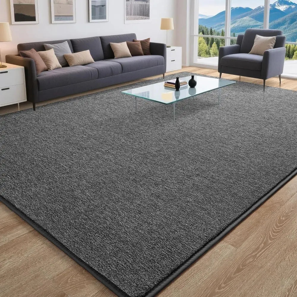 Memory Foam Rug Washable Non Slip Minimalist Shag for Home